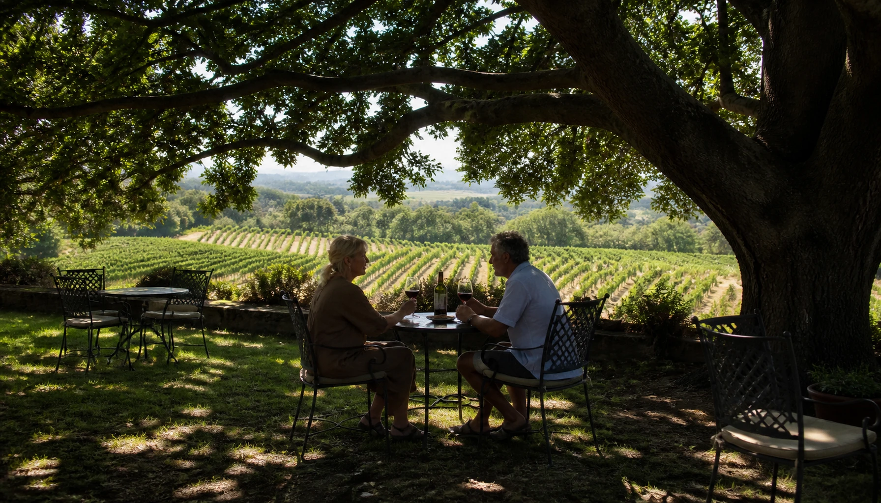 Danza del Sol Winery &mdash; mature vines and shade to sit under.